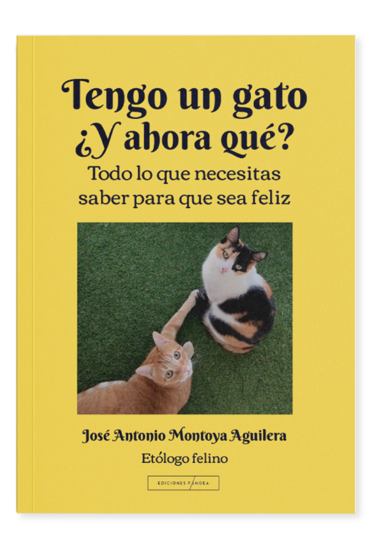 TENGO UN GATO EDICIONES PANGEA